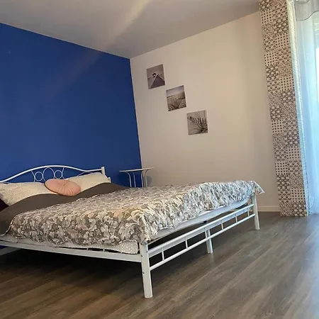 Casa Veseliei 게스트하우스