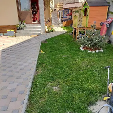 Guest house Casa Veseliei 4*