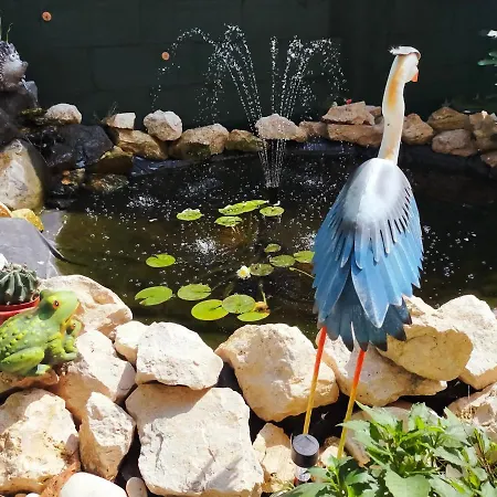 Casa Veseliei Guest house Eforie Nord