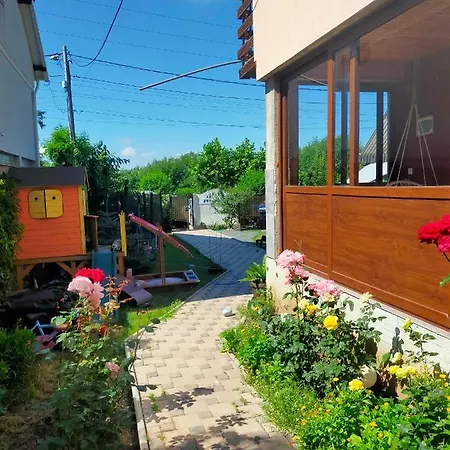 Guest house Casa Veseliei 4*